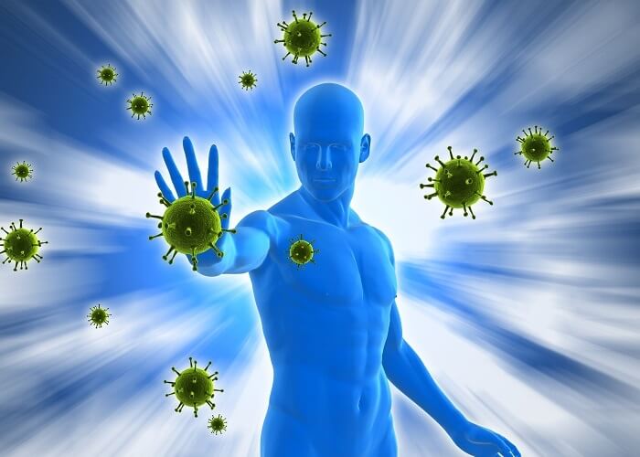 Spirulina stiprina imuninę sistemą